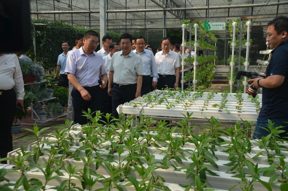 科技助農(nóng)，播撒光的種子  精準扶貧，助力鄉(xiāng)村振興